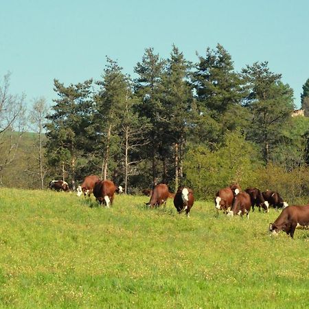 Gites A La Ferme De Bacon Saint-Sylvestre  Экстерьер фото