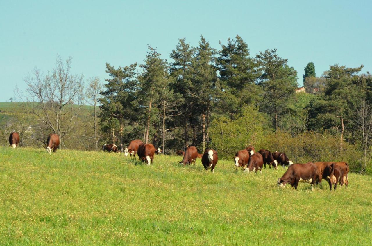 Gites A La Ferme De Bacon Saint-Sylvestre  Экстерьер фото